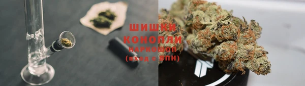 амф Абаза