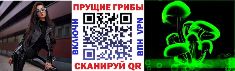 Псилоцибиновые грибы Psilocybe  Адыгейск 